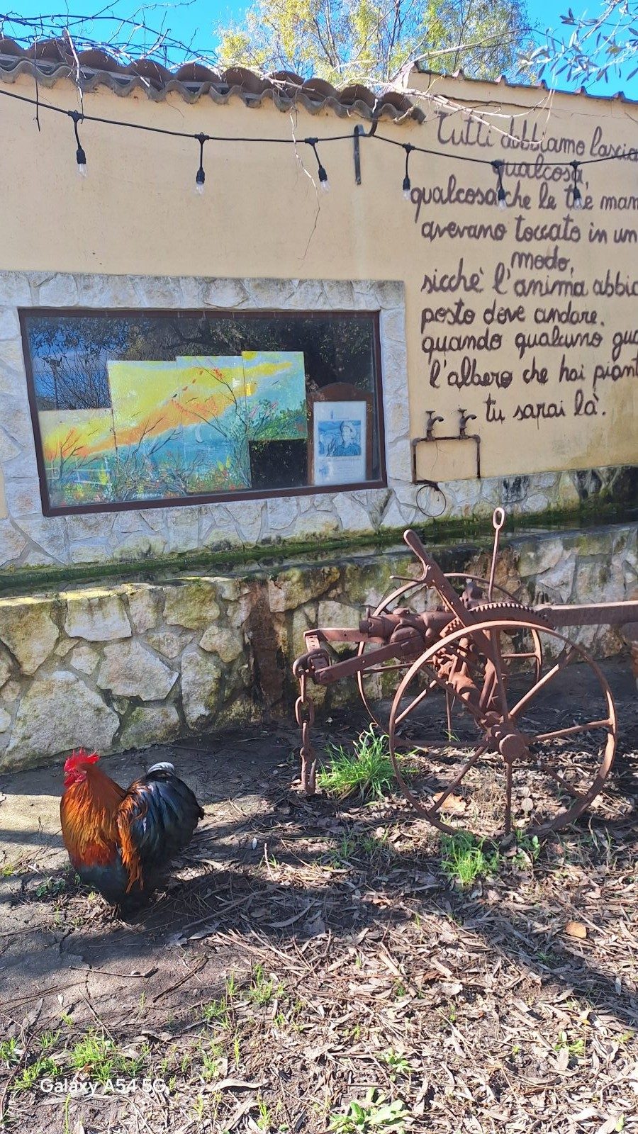 Casale dei Girasoli